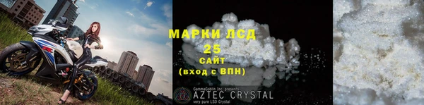 PSILOCYBIN Белокуриха