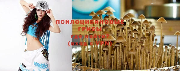 PSILOCYBIN Белокуриха