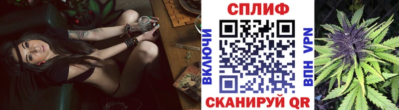 Конопля планчик Болохово